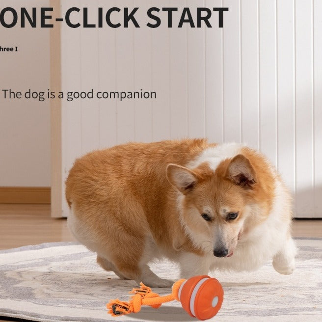 Pet favorites collection